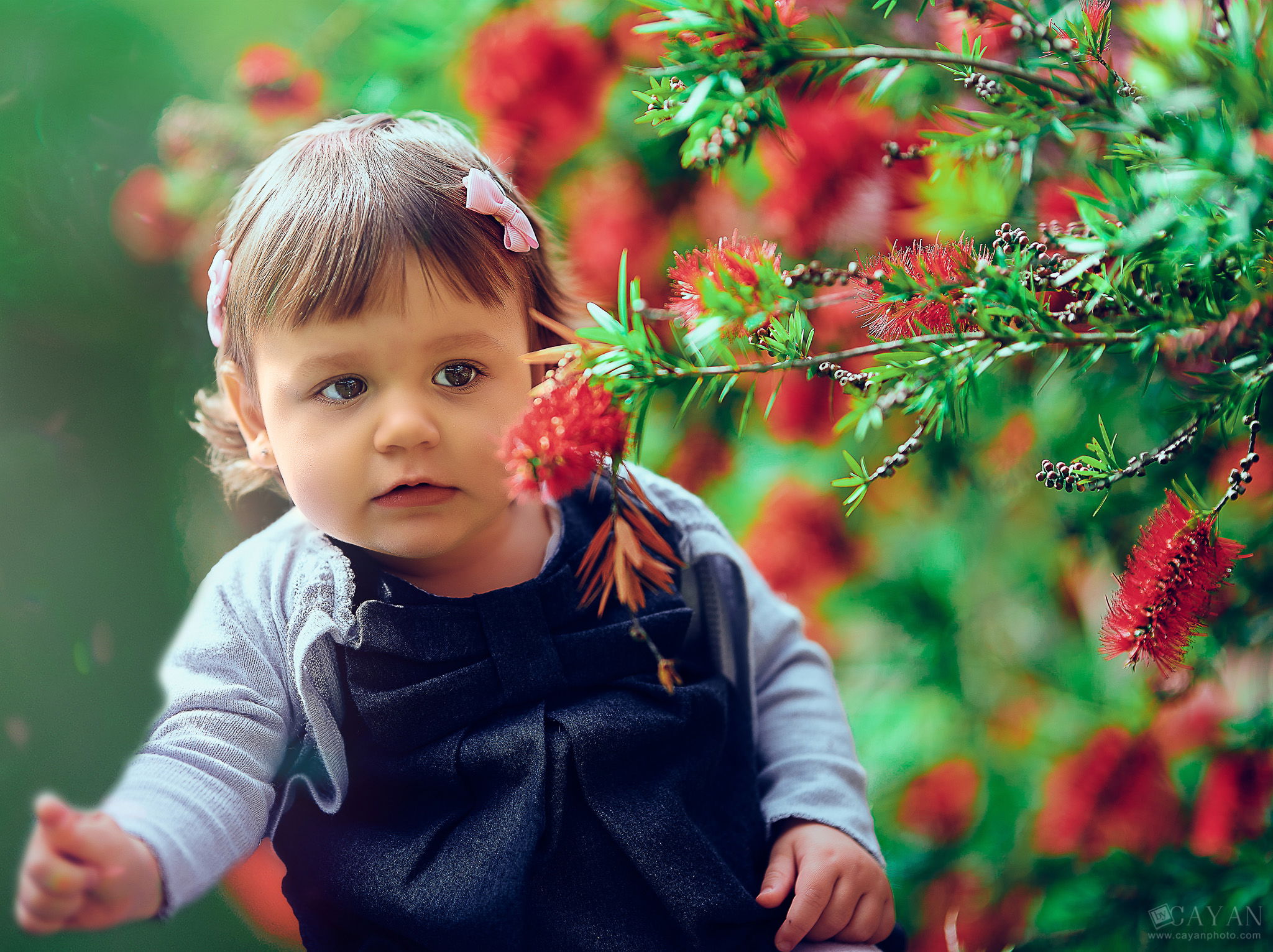 Luana and the Flowers