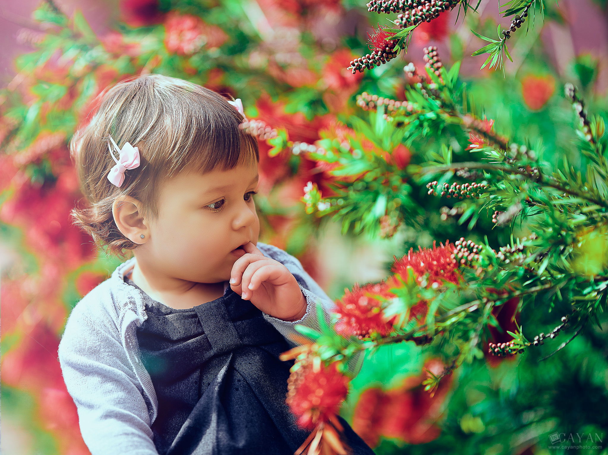 Luana and the Flowers