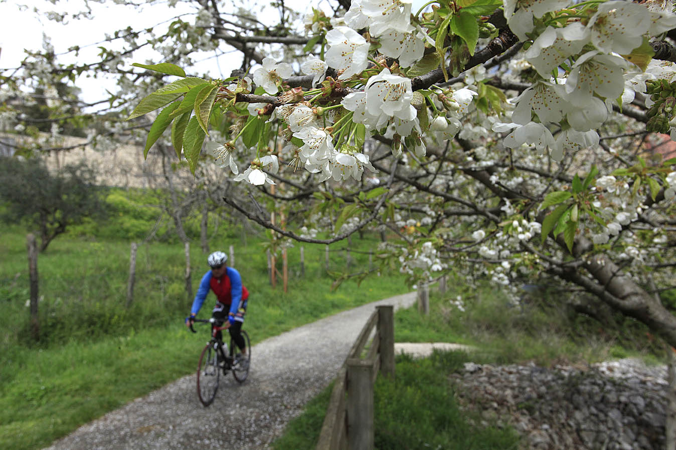 Велосипедный туризм