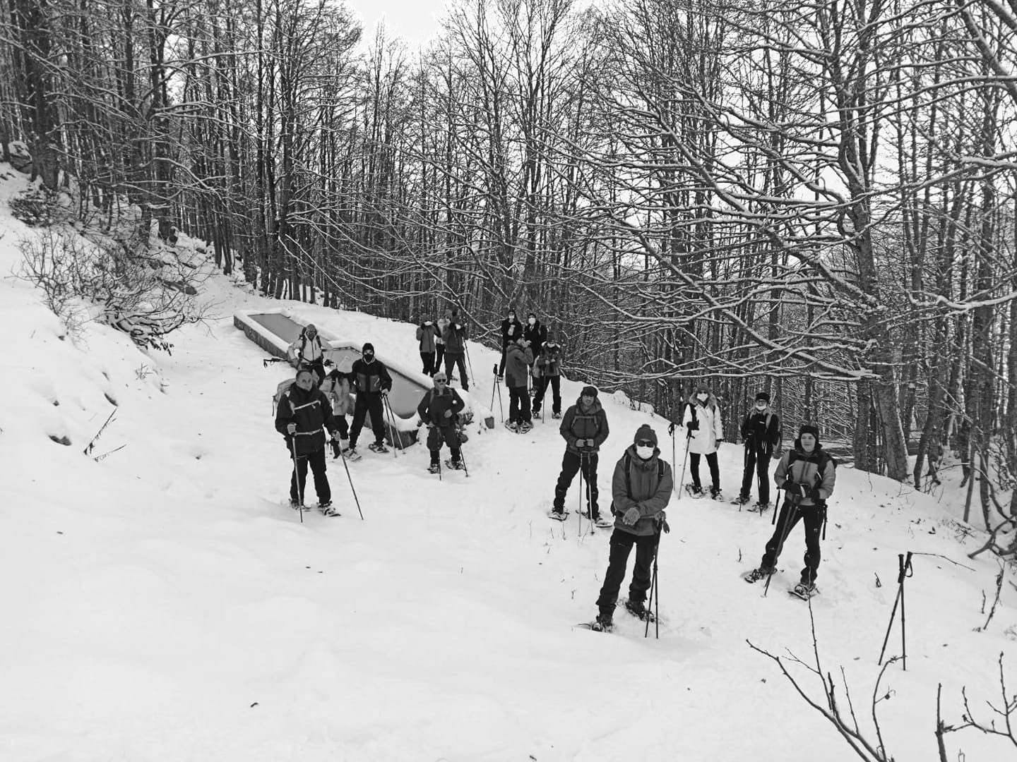 Ходьба на снегоступах