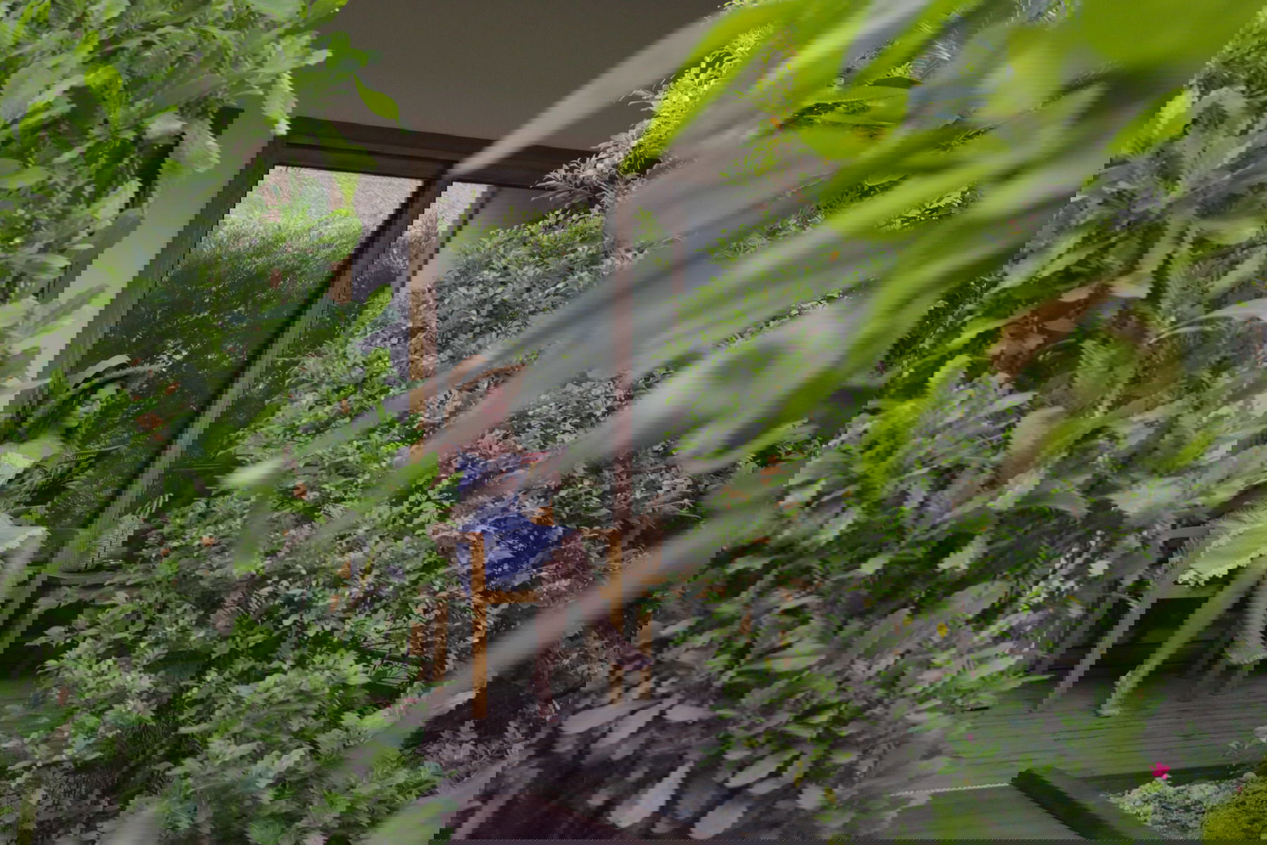 25 Super deluxe | 16 Beach villa | 23 Deluxe | 12 standard | 12 Ocean view