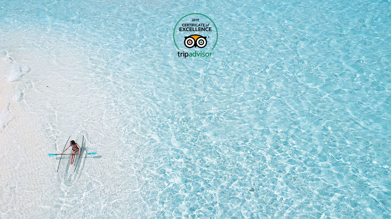 25 Super deluxe | 16 Beach villa | 23 Deluxe | 12 standard | 12 Ocean view