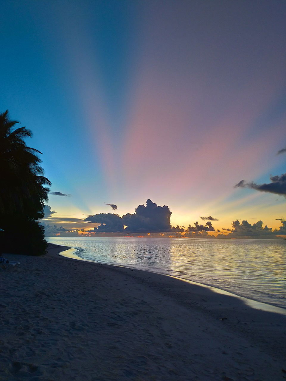 25 Super deluxe | 16 Beach villa | 23 Deluxe | 12 standard | 12 Ocean view