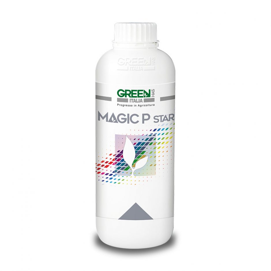 MAGIC P STAR